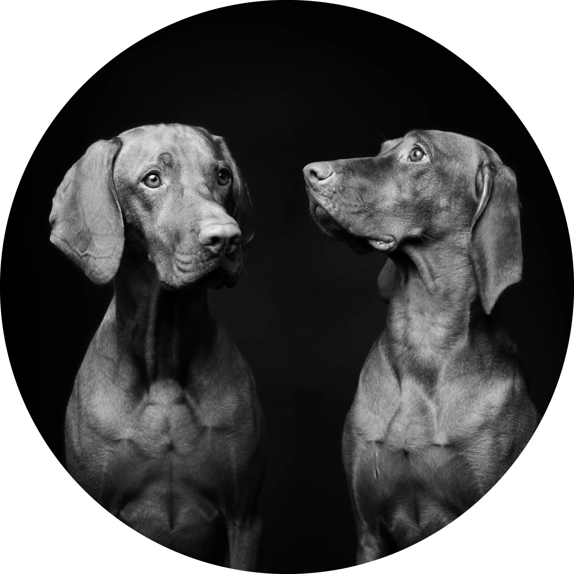 Ida und Otto